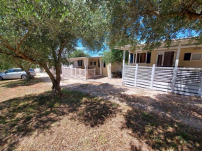 Mobile home REGINA, Sveti Filip I Jakov